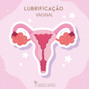 Leia mais sobre o artigo Lubrificação Vaginal