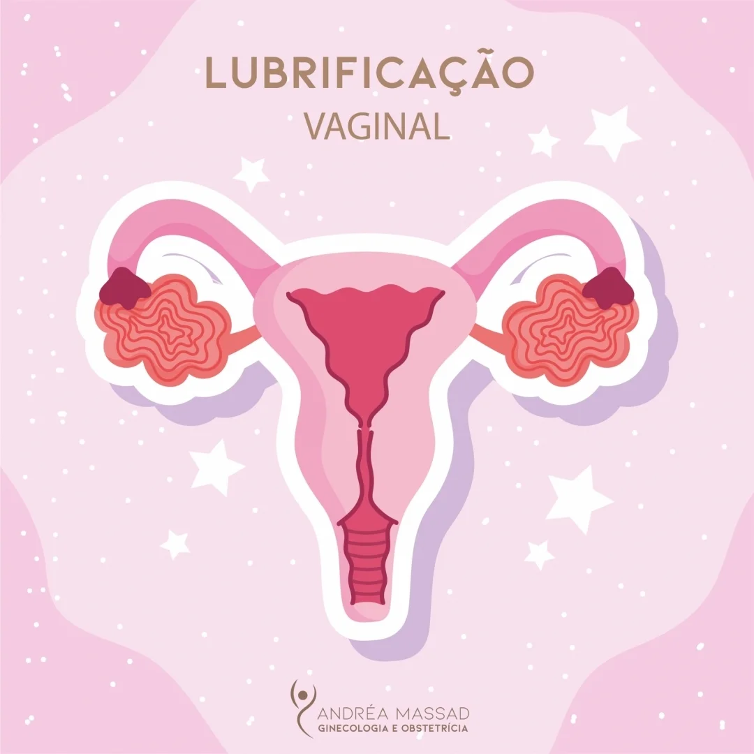 No momento, você está visualizando Lubrificação Vaginal
