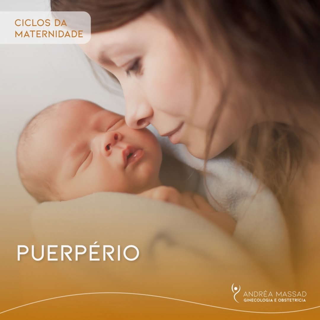 Leia mais sobre o artigo Puerpério