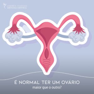 Leia mais sobre o artigo É normal ter um ovário maior que o outro?