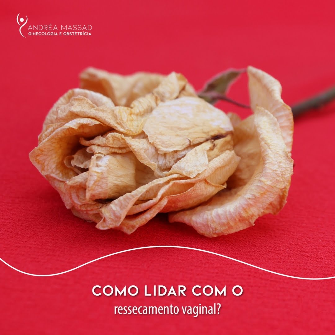 No momento, você está visualizando Como lidar com ressecamento vaginal?